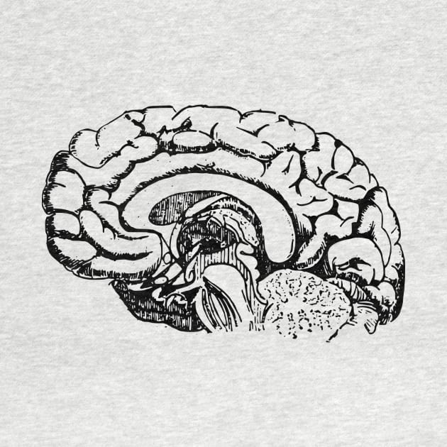 Brain by linesdesigns